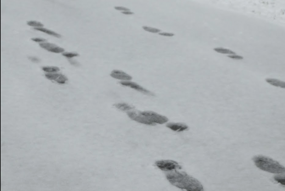 “The Land Without Evil” Leon Cadogan, Paraguay (1899-1973)