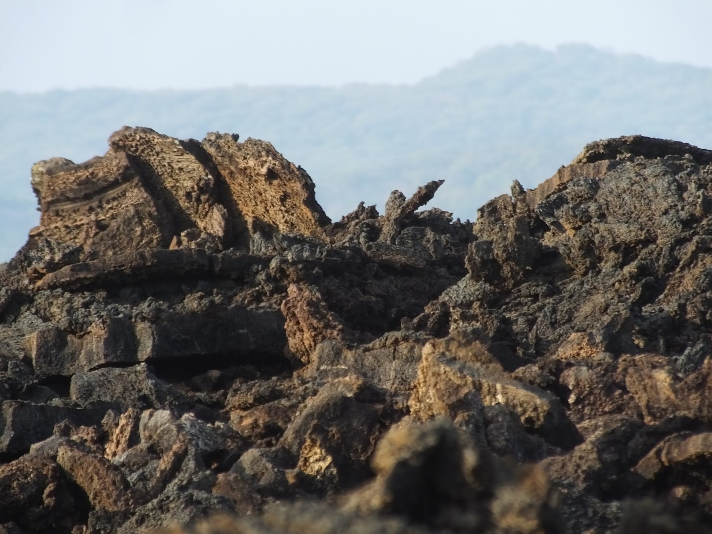 “Volcano” Oswaldo Escobar Velado, El Salvador (1919-1961)