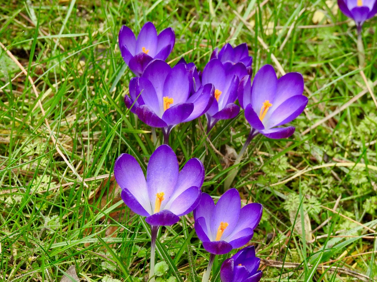 “March’s Mercy” Rainer Maria Rilke, Austria (1875-1926)