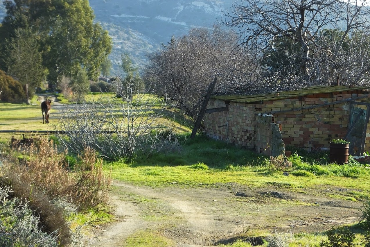 “The Garden’s Edge” Vita Sackville-West, England (1892-1962)
