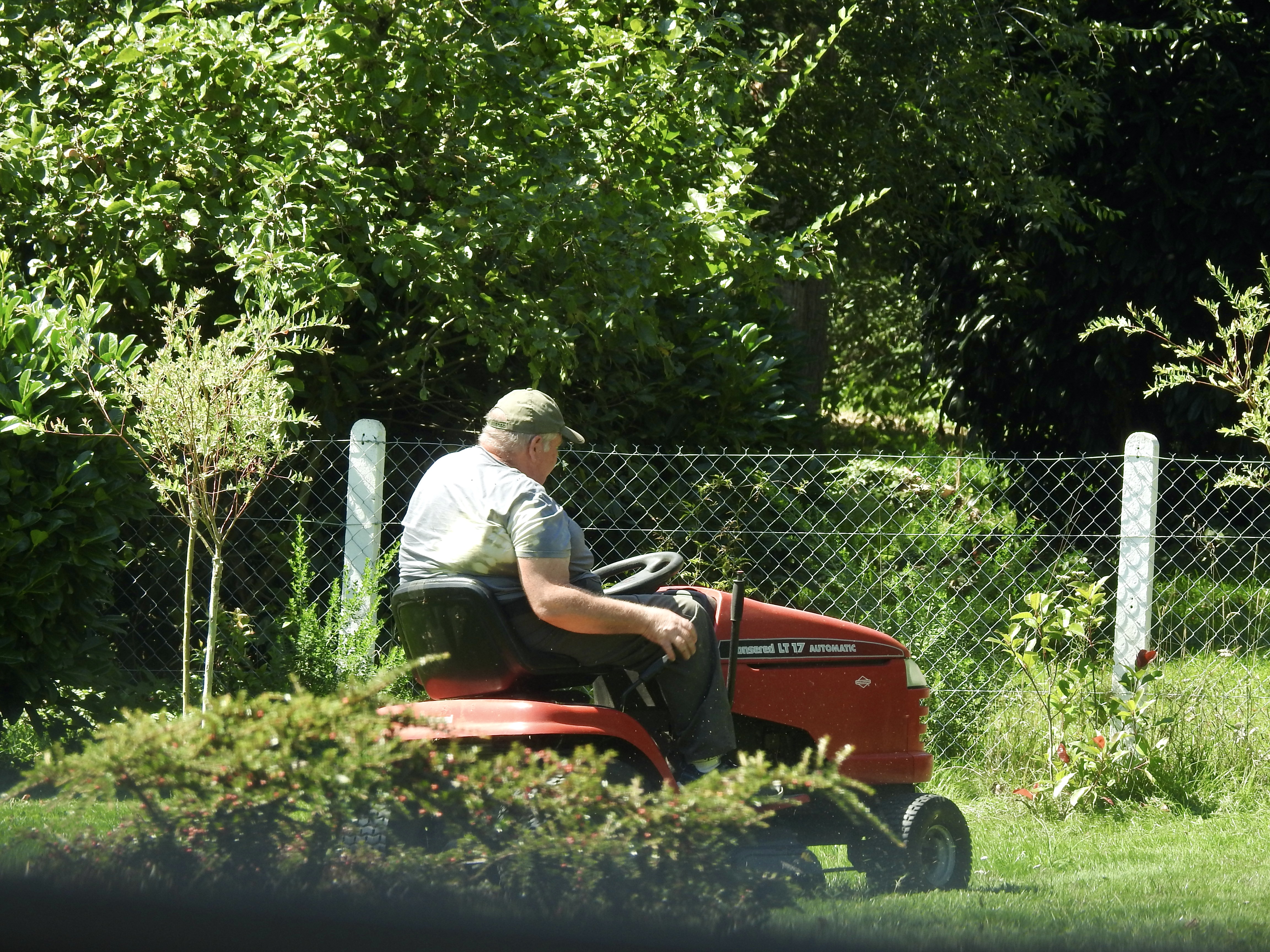 “The Mower” by Philip Larkin, England (1922–1985)